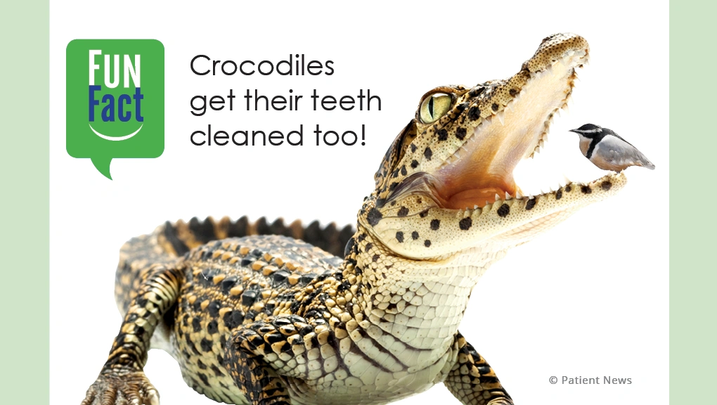 Aesthetic Family Dentistry