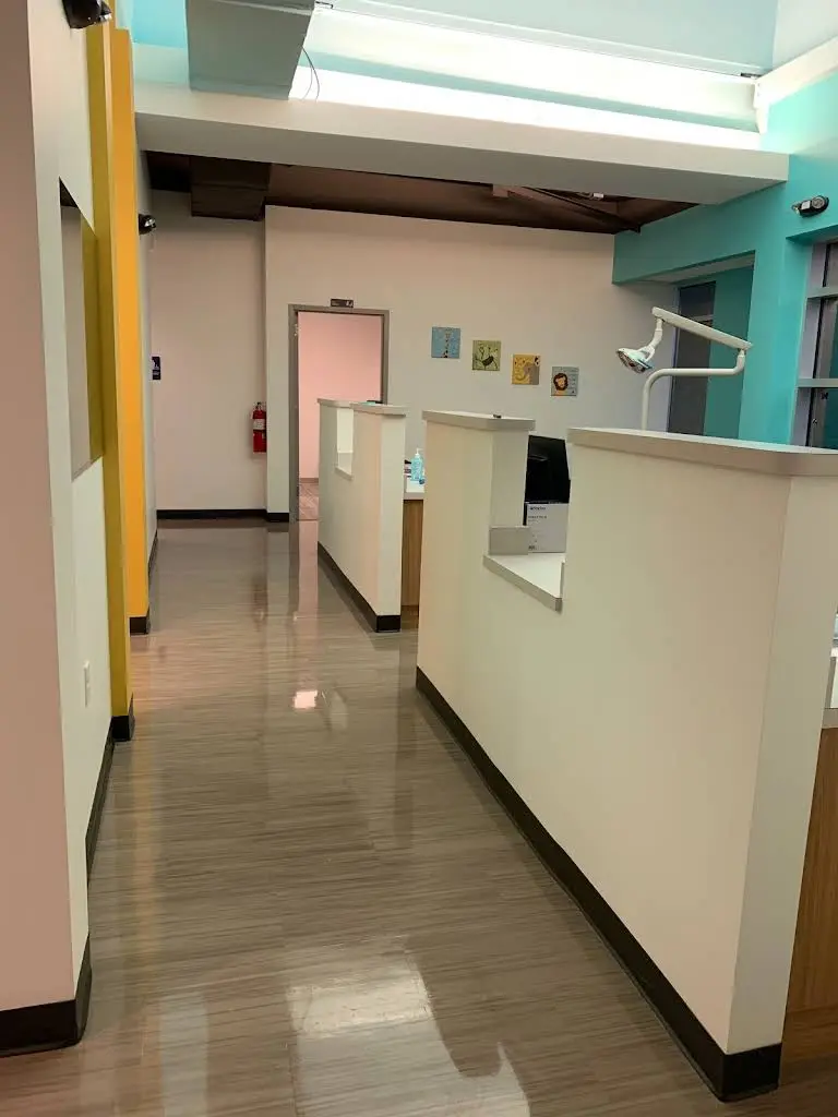 Pediatric Dentist at West Cary