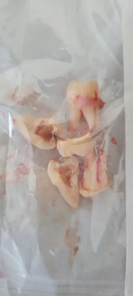 Aspen Dental