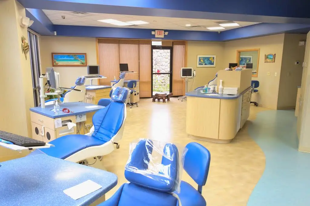 The Brace Place - Salisbury
