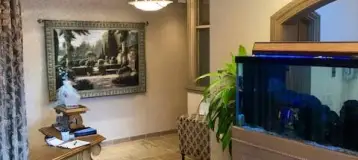 Downs Dental Care