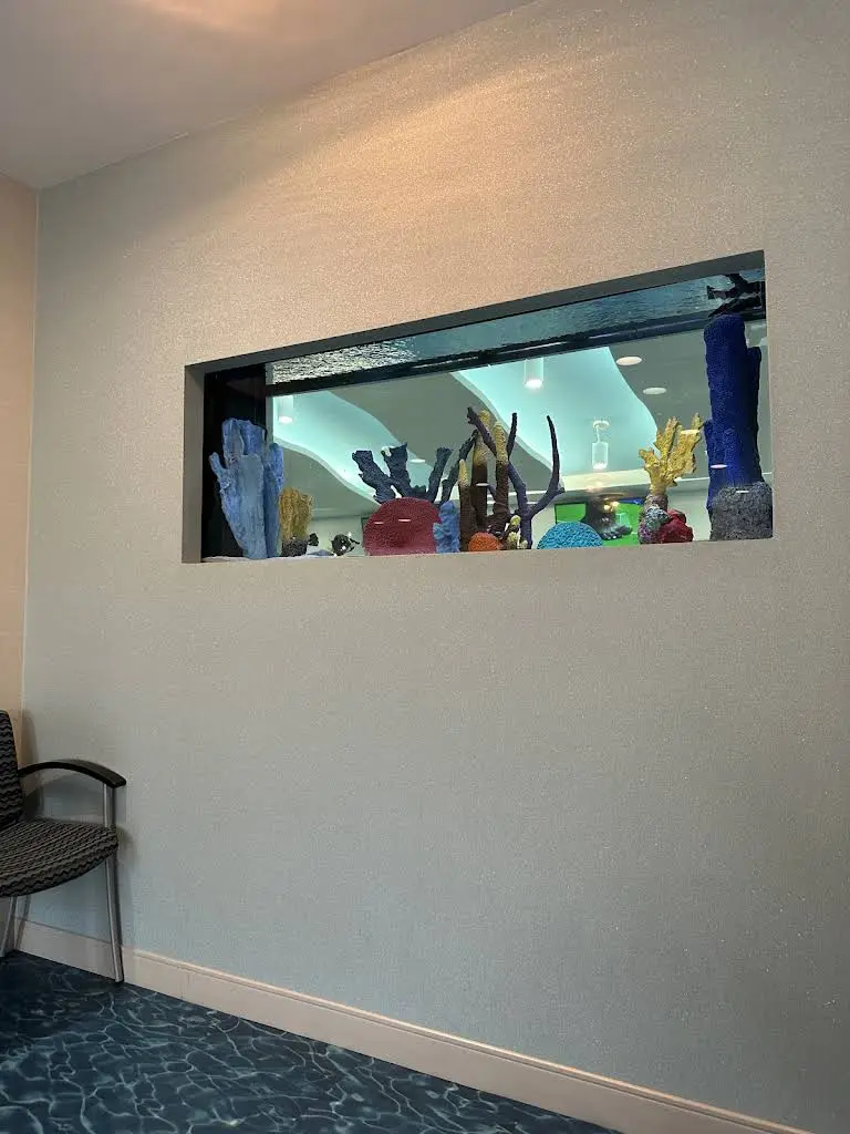 Blue Water Pediatric Dentistry
