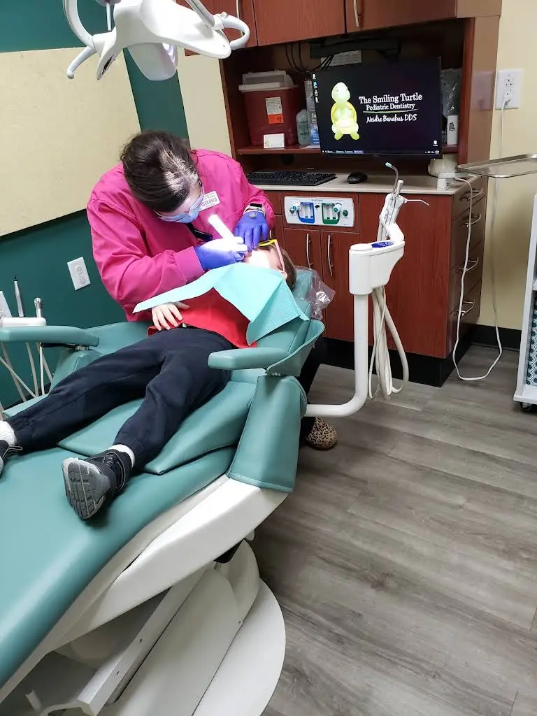 The Smiling Turtle Pediatric Dentistry