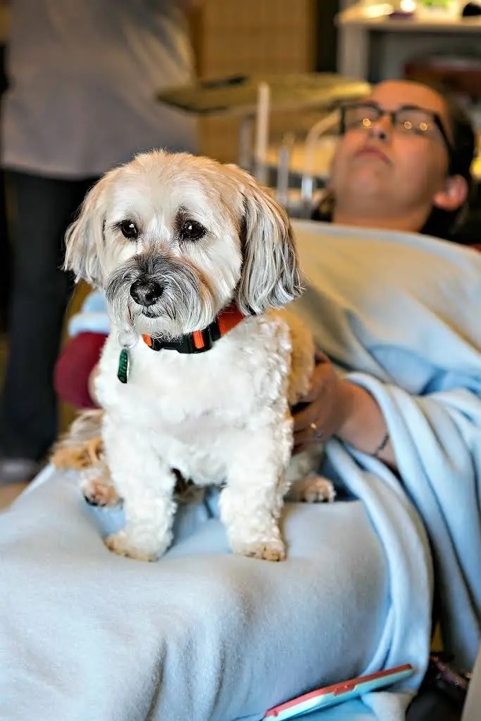 Fredericksburg Smile Center