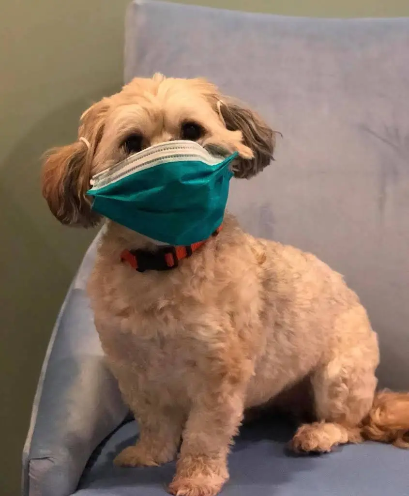 Fredericksburg Smile Center