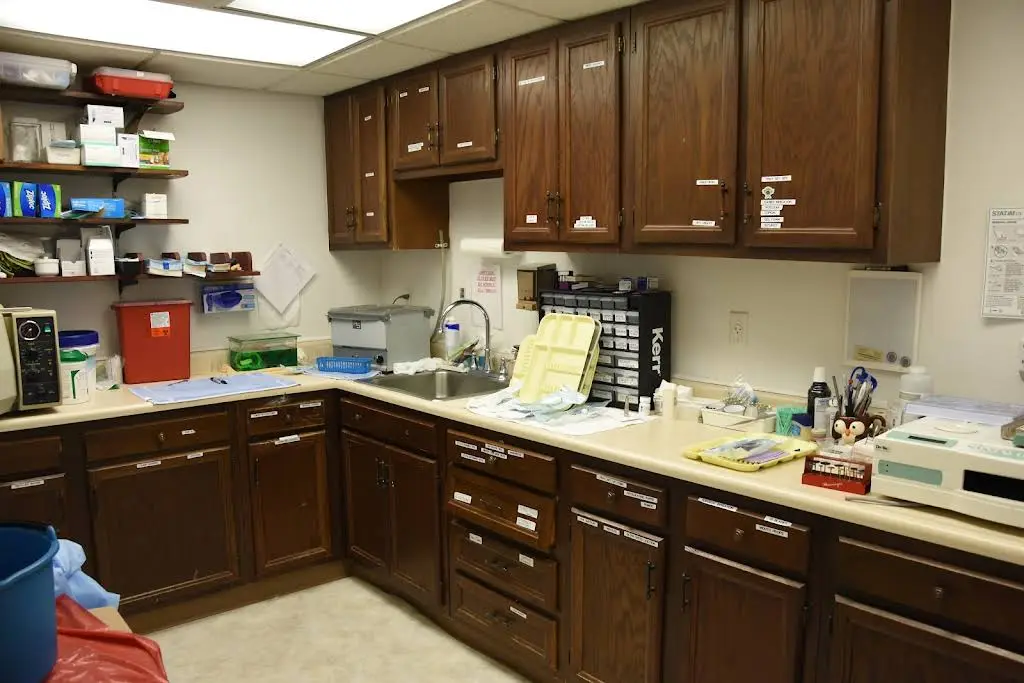 Total Health Dentistry Altoona