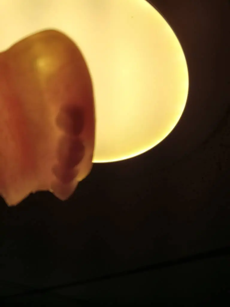 K&C Denture Centers, Inc.