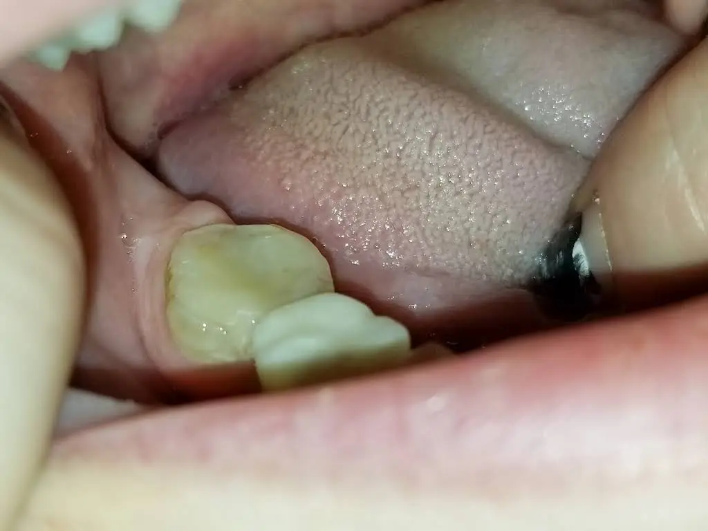 American Dental Solutions