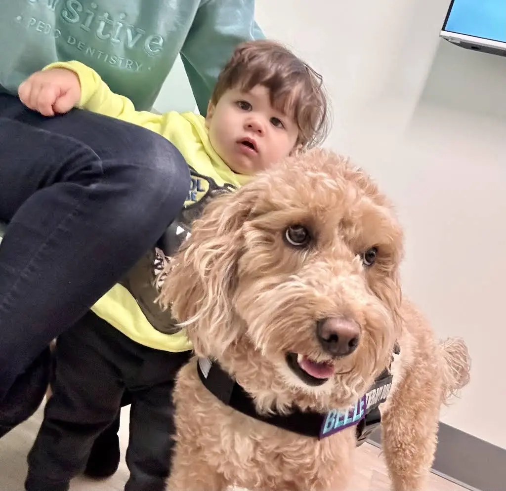Pawsitive Pediatric Dentistry