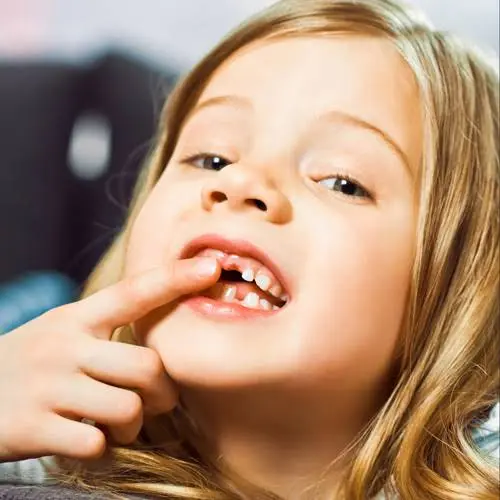 Viechnicki Orthodontics Kutztown
