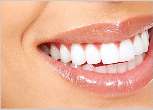 Dr. Marsha Plater & Associates