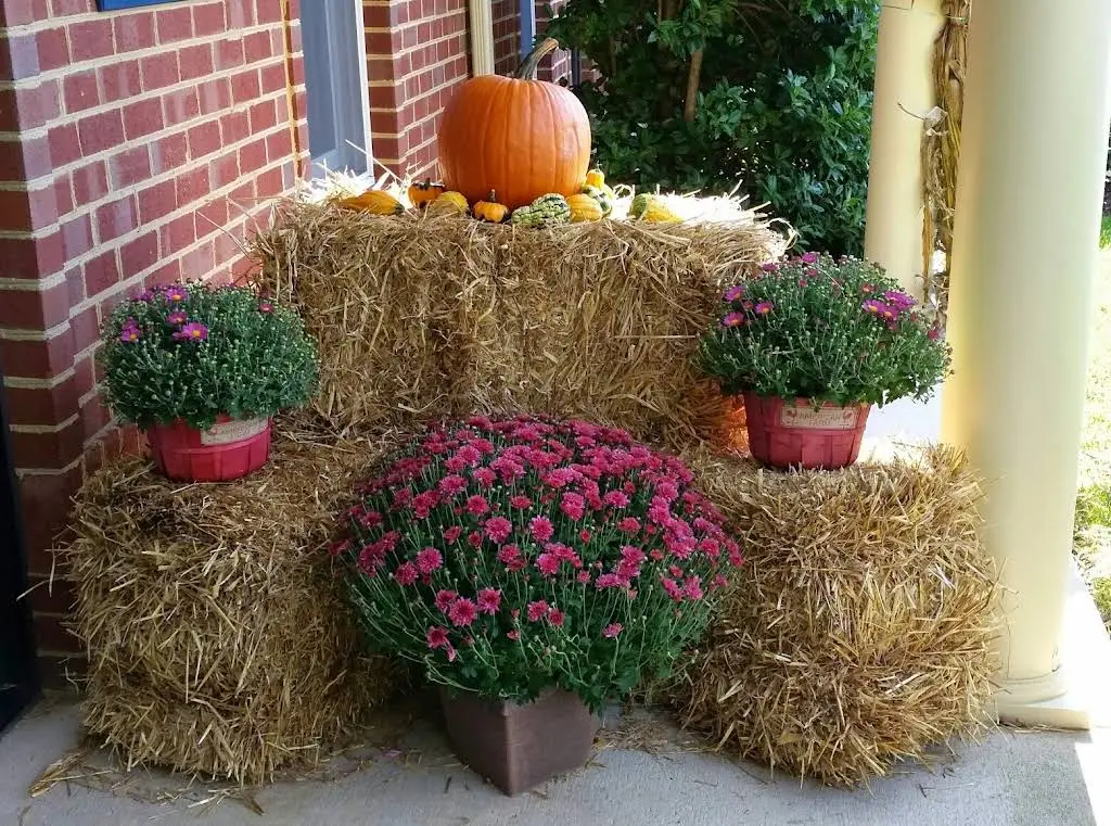 Fredericksburg Dental Associates