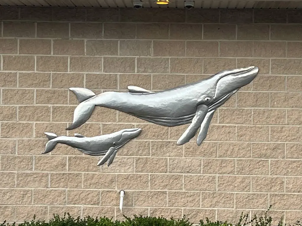 Meader Family Dentistry