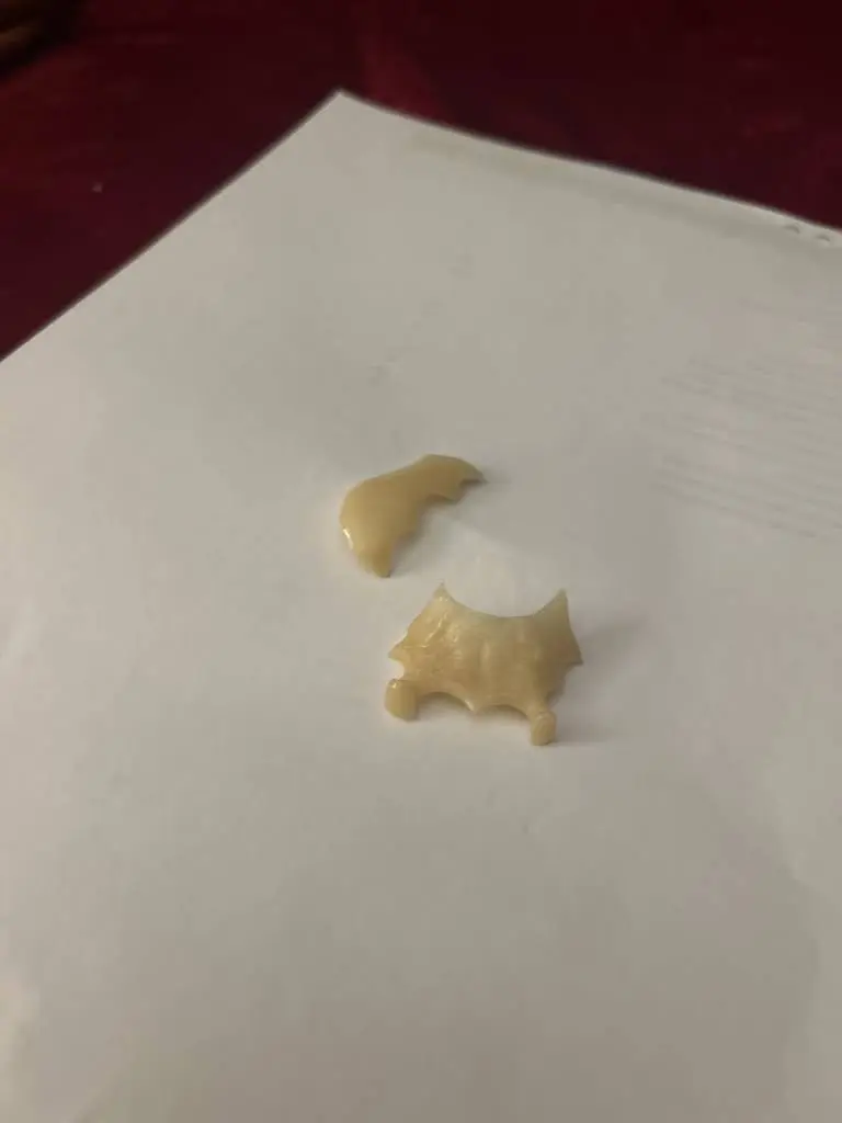 Aspen Dental