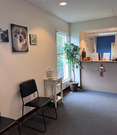 Affordable Dental Solutions - Reading