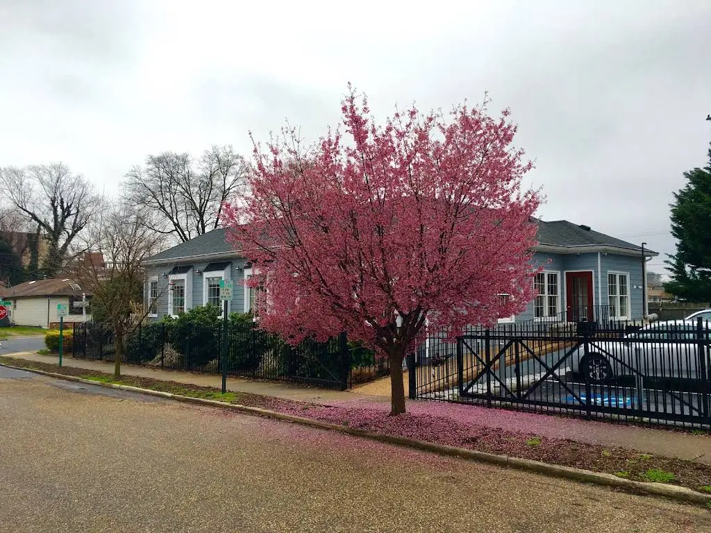 Serene Smiles of Fredericksburg