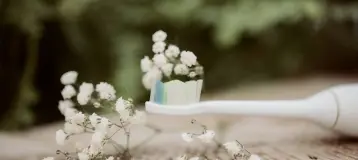 Evergrow Dental