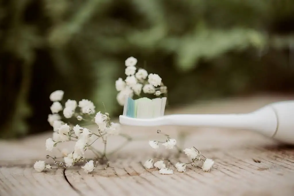 Evergrow Dental