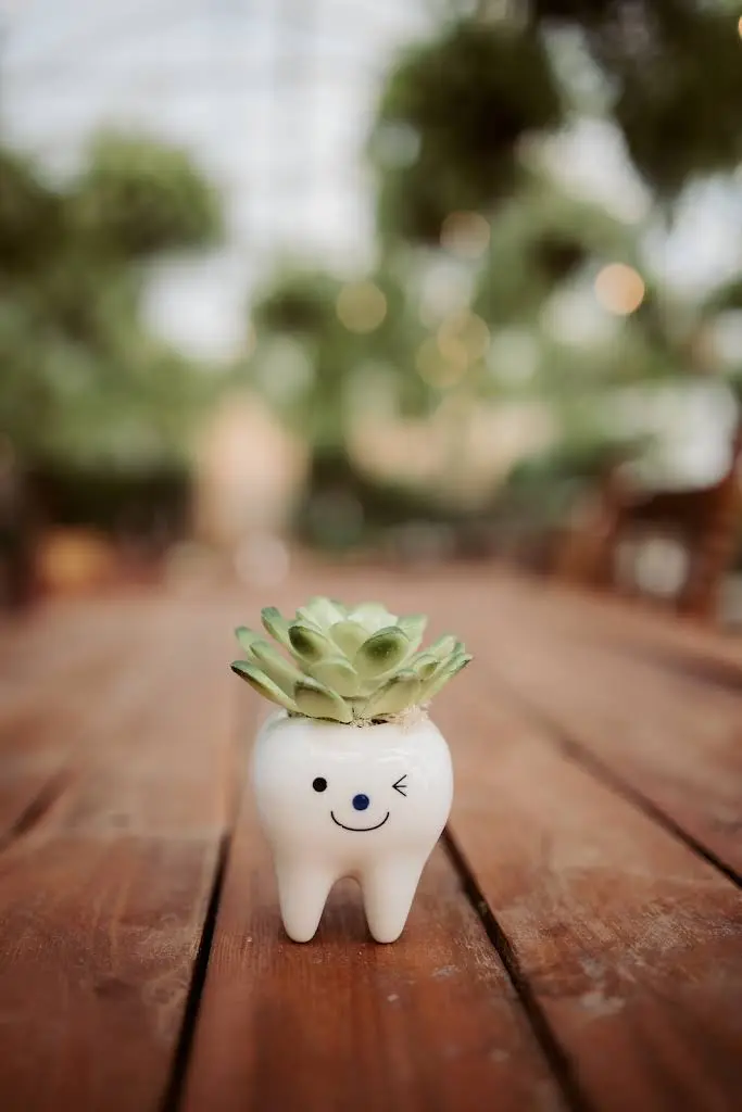 Evergrow Dental
