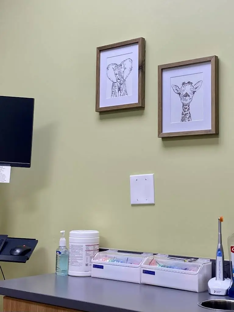 Village Orthodontics