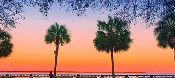 Palmetto Dentistry of South Carolina, Inc. - Nicole S. Price, DMD