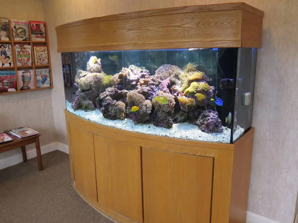 Chester Springs Dental