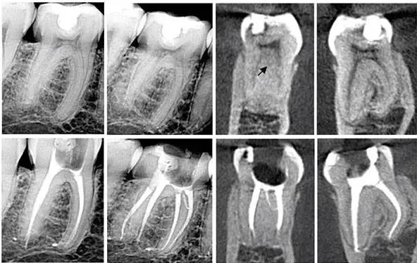 Whitehall Dental Group