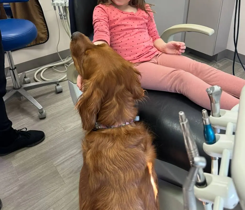 Nataupsky Family Dentistry