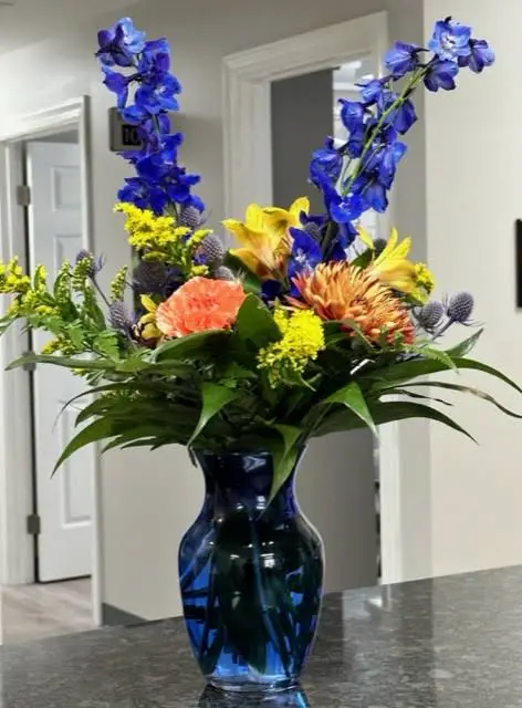 Heath Springs Dental Associates, P.A.