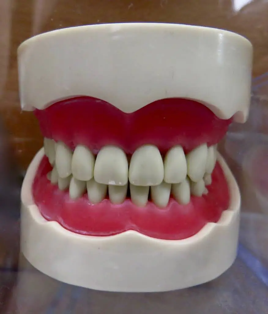 Heath Springs Dental Associates, P.A.