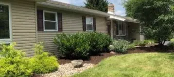 Maple Tree Dental