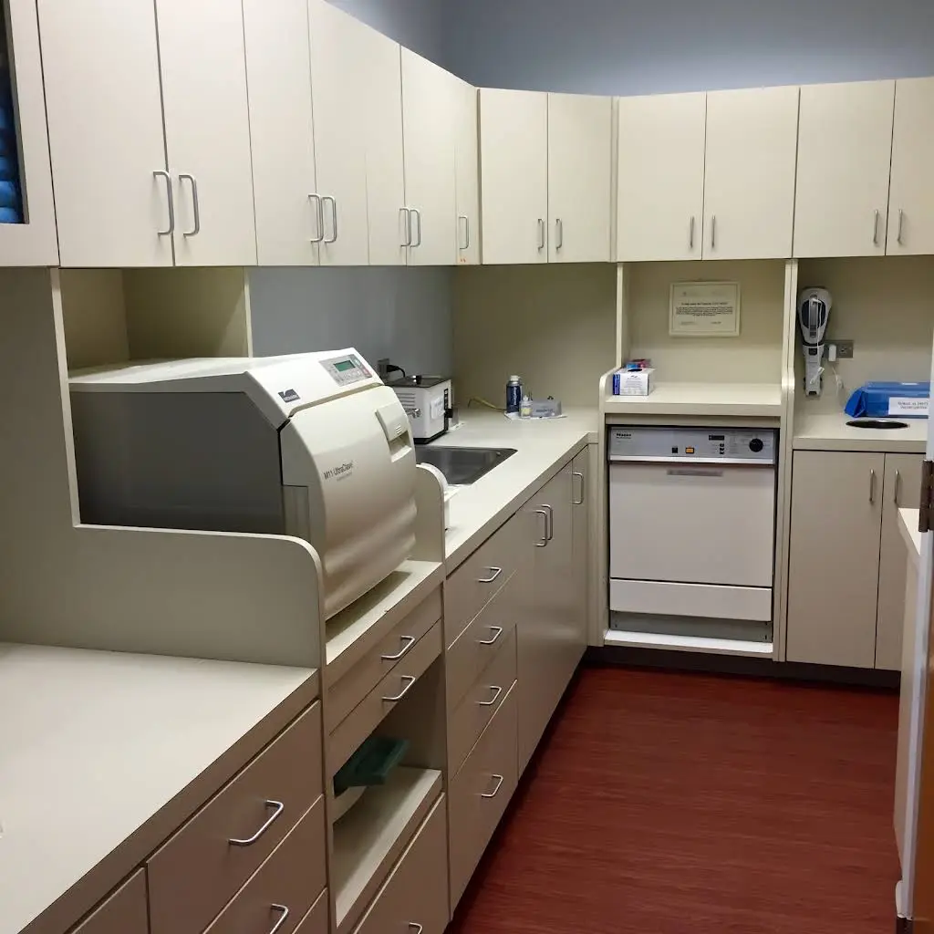 Scott B Matthews, DDS, PA