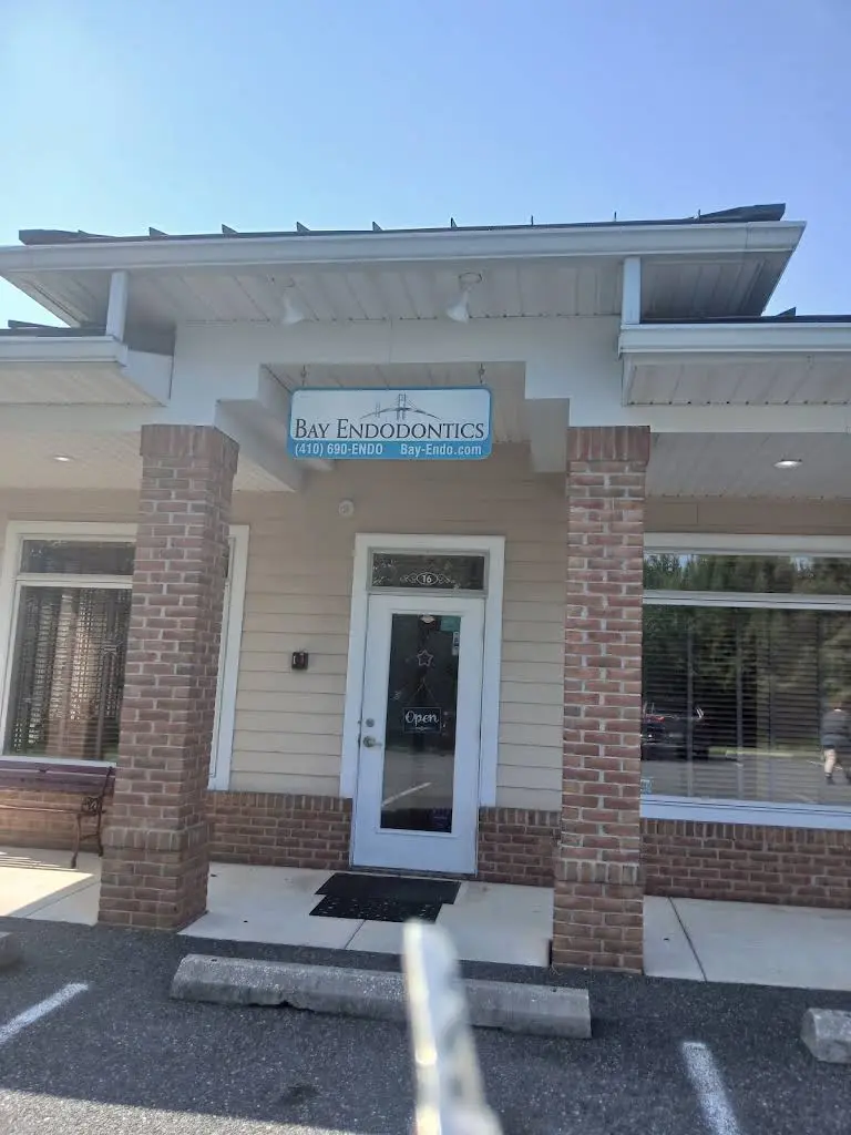 Bay Endodontics, LLC