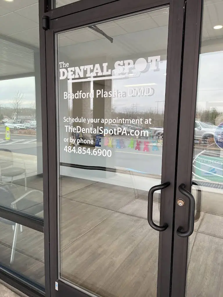 The Dental Spot