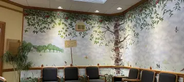 Robert M Collins DDS, PA