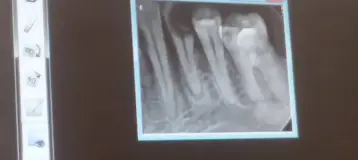 Susan M Minchin DDS PC
