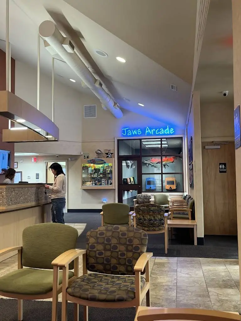 Coastal Carolina Orthodontics - Professional dental clinic exterior with modern facilities