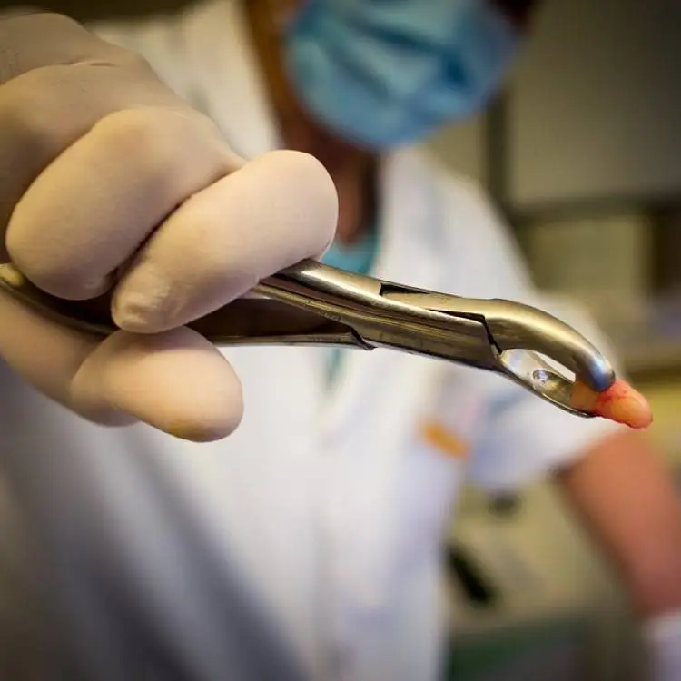 Kessler Dental