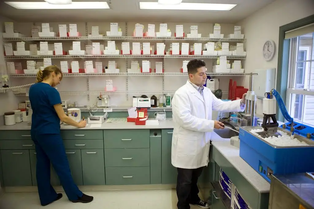 Bentz Dental Group