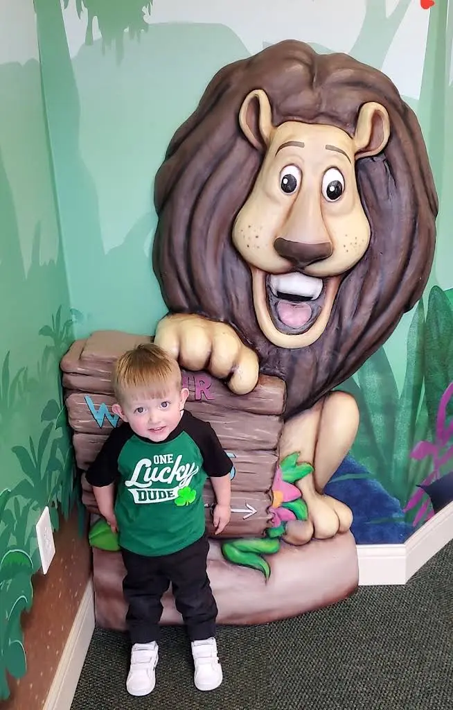 Wild Smiles Dentistry for Kids