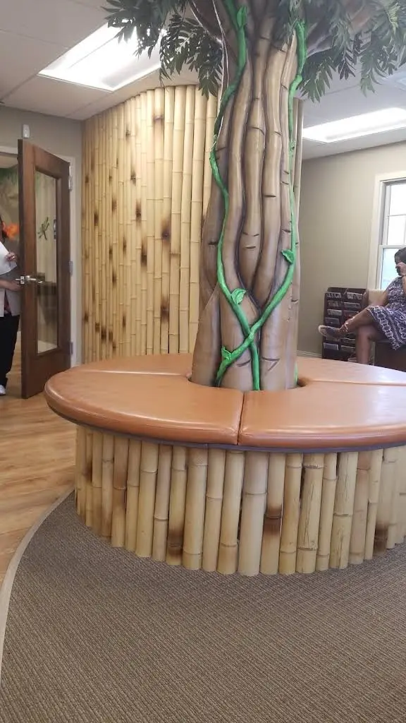 Wild Smiles Dentistry for Kids