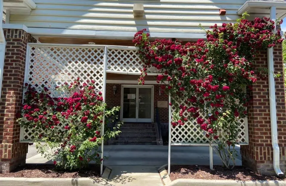 Wrightsville Dental