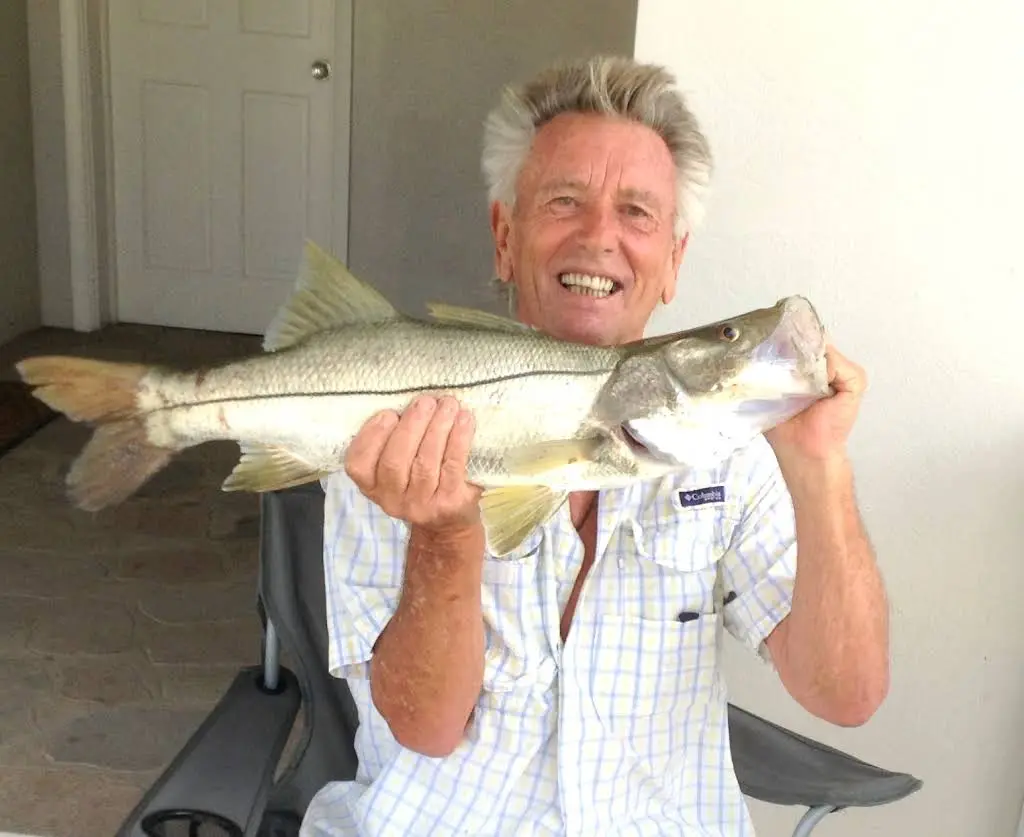 Palmetto Coast Dental