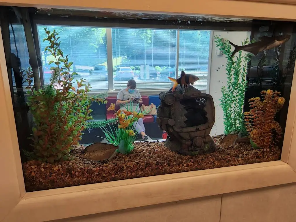 Upper Merion Dental Associates