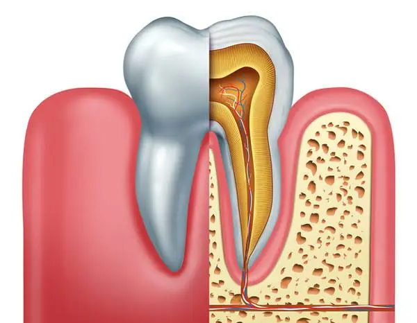 Trecartin Family Dentistry