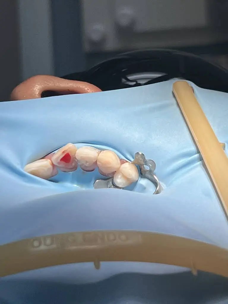 Charleston Endodontics