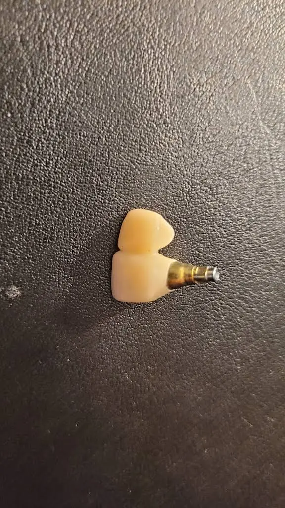 Dental Arts Of Blue Bell