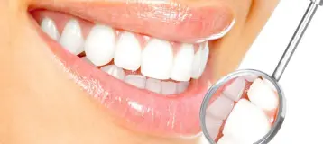 Great Whites Dental