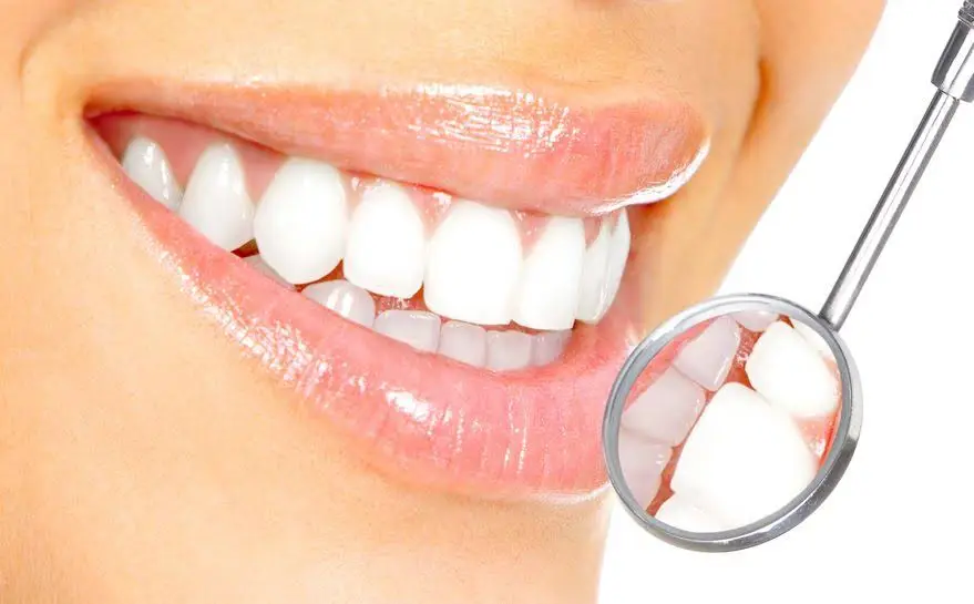 Great Whites Dental - Professional dental clinic exterior with modern facilities