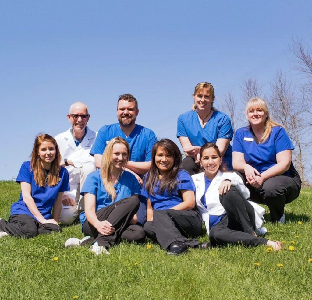 Lakeview Dental